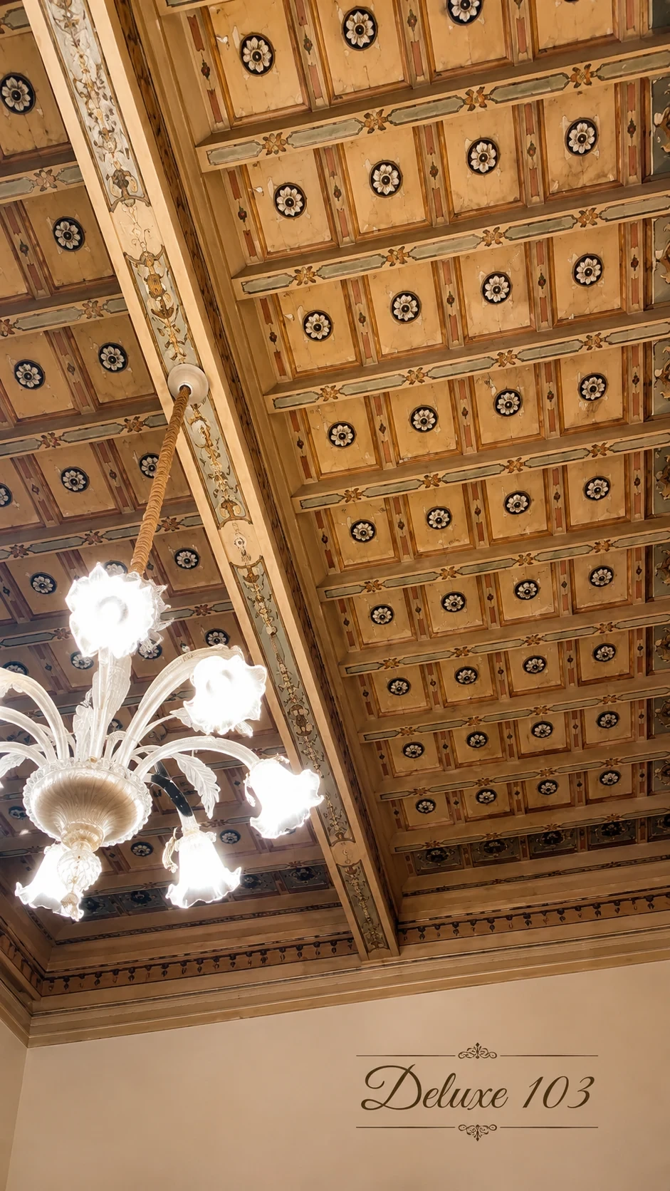 Il soffitto ligneo a cassettoni decorati della Camera 103, con il lampadario in vetro al centro